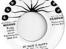 James Fountain My Hair is Nappy Rare Northern Soul Funk