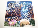 JELLYFISH - BELLY BUTTON -LP/RECORD
