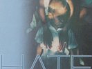 The Delgados - Hate LP Indie Rock  