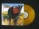 Blink 182 - Dude Ranch LP Translucent Gold Vinyl NM