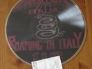 Metallica - Roaming In Italy - Picture Disc