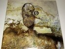 NEGURA BUNGET-OM 2xLP CLEAR LTD TO 100 RARE BLACK METAL