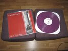 FACE TO FACE - Don't turn away - purple 1/319 - nofx