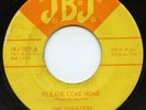 HEAR-Rare Texas Soul 45- The Cheaters- Please Come Home