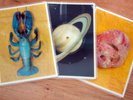 THE B52'S Rock Lobster Set of 3 SHAPED PICTURE DISC 7