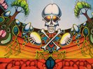 GRATEFUL DEAD AOXOMOXOA ORIGINAL GOLD WB LABEL LP vinyl
