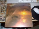 David Crosby 'If I Could Only'  200g LP OOP RARE