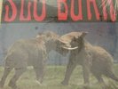 Slo Burn – Amusing The Amazing  Rare and sealed 