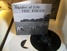 THE FOCUS