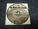 JOY DIVISION  AN IDEAL  PIC DISC 7