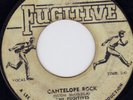 JOE JOE & FUGITIVES - THE LECTURE + CANTELOPE ROCK ??