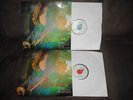 Peinemann Demus Schubert Sonatas Darnok DF 2032/33 MINT