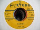 TONY LEE COOL DETROIT INSTRO 45 FORTUNE 530 HEAR BOTH