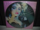 Madonna / First Album Japan LTD LP PICTURE-DISC INSERT