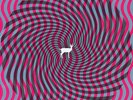 DEERHUNTER Cryptograms lp & Fluorescent ep 2xLP NEW
