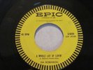Vtg Rockabilly 45 Jim Robinson IT'S A WONDERFUL FEELING