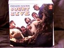Count Five - Psychotic Reaction - Org. 1966 mono