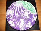 PINK FLOYD A NITE AT POMPEII PICTURE DISK LIMITED RARE