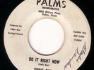 TEXAS GARAGE 45 EDDIE RAY DO IT RIGHT NOW- PALMS 463