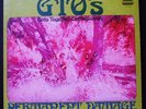 '69 The GTO's Psych LP 