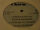 Junior Brammer Warm And Sunny Day Digi 12