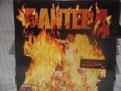 Pantera 