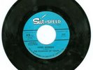 THE FOUNTAIN OF YOUTH HARD WOMAN RARE 1960s GARAGE 45 M