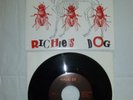 Halo of Flies Richie's Dog 7