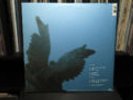 Sunny Day Real Estate - The Rising Tide green vinyl