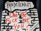 PANDEMONIUM-WHO THE 7
