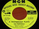 Rare Psych/Garage 