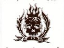 DROPKICK MURPHYS FIRE AND BRIMSTONE 7