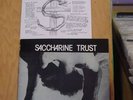 Saccharine Trust PaganIcons W/Insert Sheet SST006 LP