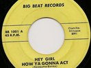 Steve Colt & the Forty Fives 45 NORTHERN SOUL Hey Girl
