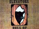 13th floor elevators - bull of the woods   LP-reissue