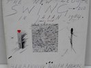 The New Acoustic Swing Duo - Live in Japan - Bennink LP