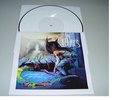 IN FLAMES-A Sense of TESTPRESSING LP *NEU* WHITE VINYL