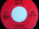 J. PARKER BAND: A Live Lady / Little Fox