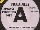 Robb Storme - To Know Her Is To Love 45 Piccadilly Demo