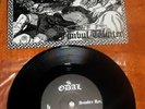 = O.D.A.L - Fimbul Winter