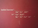 SEEFEEL SUCCOUR 2XLP ORIG MINT WARP 1995 AUTECHRE, ETC