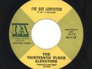 13th Thirteenth Floor Elevators 45rpm Levitation pSyCh