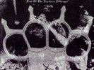CLANDESTINE BLAZE  FIST NORTHERN DESTROYER LP EAL
