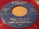 HEAR Larry & Dixie Davis KANGAROO Orig 45 Rockabilly