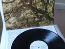 TRAVIS     original LP     Invisible Band (2001)