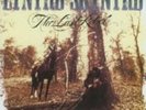 LYNYRD SKYNYRD The Last Rebel GERMAN COPY RARE VINYL LP