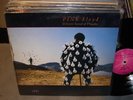 PINK FLOYD delicate sound of thunder - 2lp - PROMO -