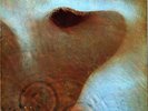 Pink Floyd – Meddle ORIG UK LP FULLY TEXTURED NEAR MINT