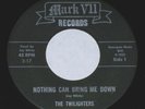 RARE - The Twilighters - Fuzz Punk Monster - Mark VII