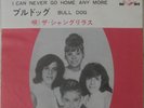 The Shangri-Las  -  Japanese Picture sleeve 7